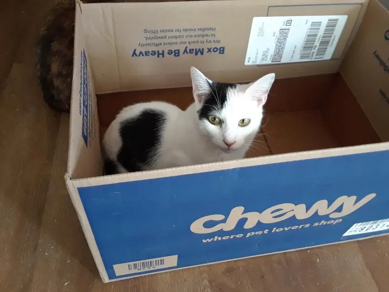 Workin' For The Weekend thumbnail 2