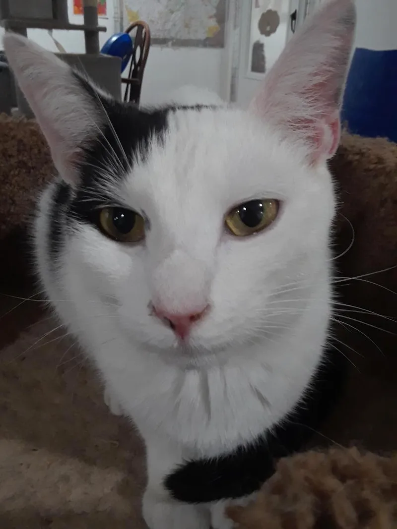 Workin' For The Weekend thumbnail 3