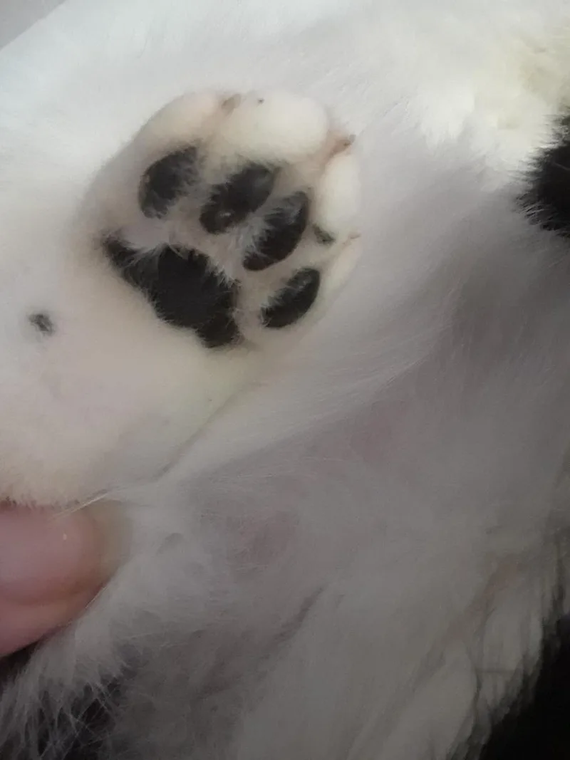 Workin' For The Weekend thumbnail 4