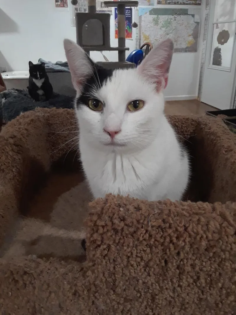 Workin' For The Weekend thumbnail 5