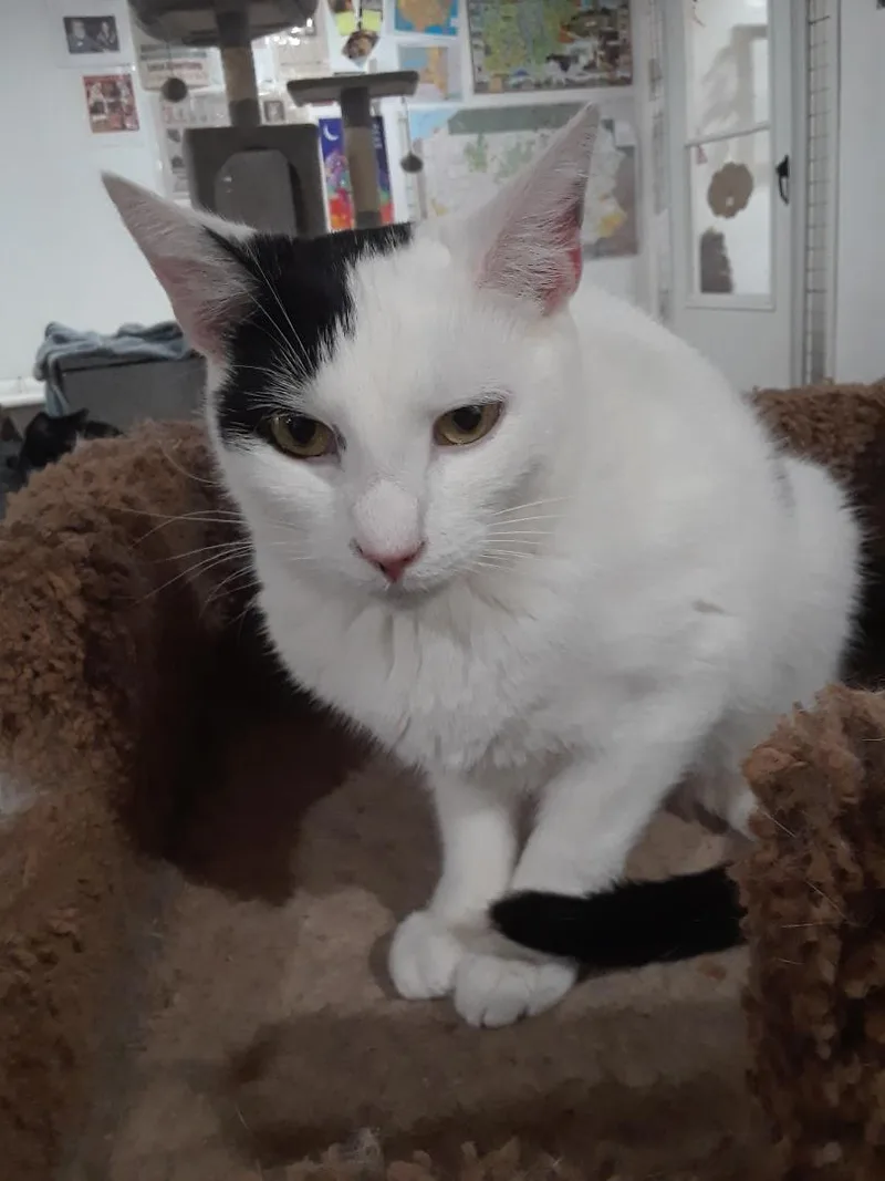 Workin' For The Weekend thumbnail 6