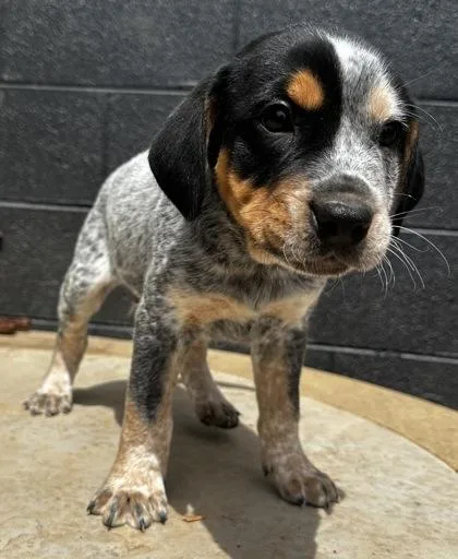 Spongebob Squarepants thumbnail 2