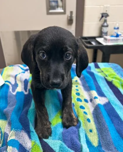 Nurse Jesse thumbnail 2