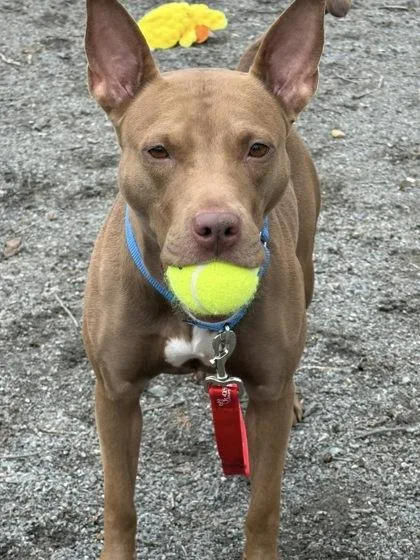 Nova Keyana thumbnail 2