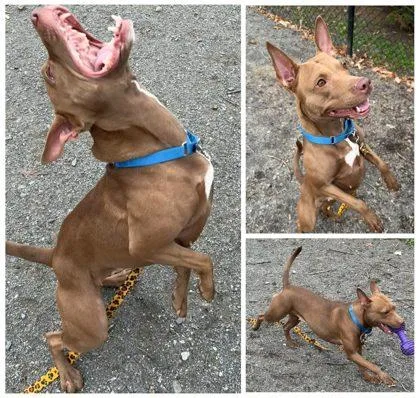 Nova Keyana thumbnail 3