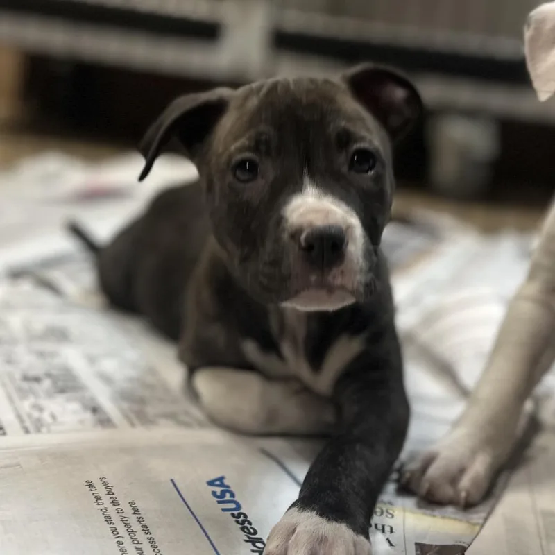 North Dakota thumbnail 3