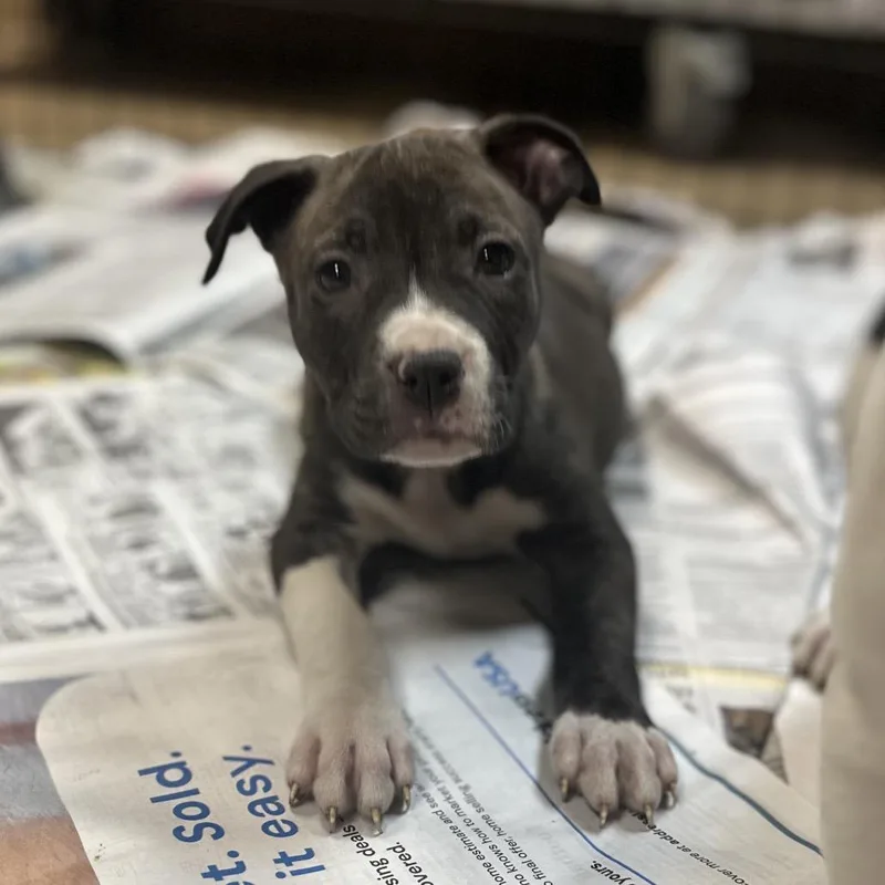 North Dakota thumbnail 4