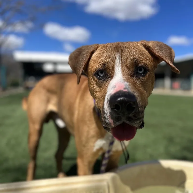 Fettisweet  Gentle And thumbnail 5