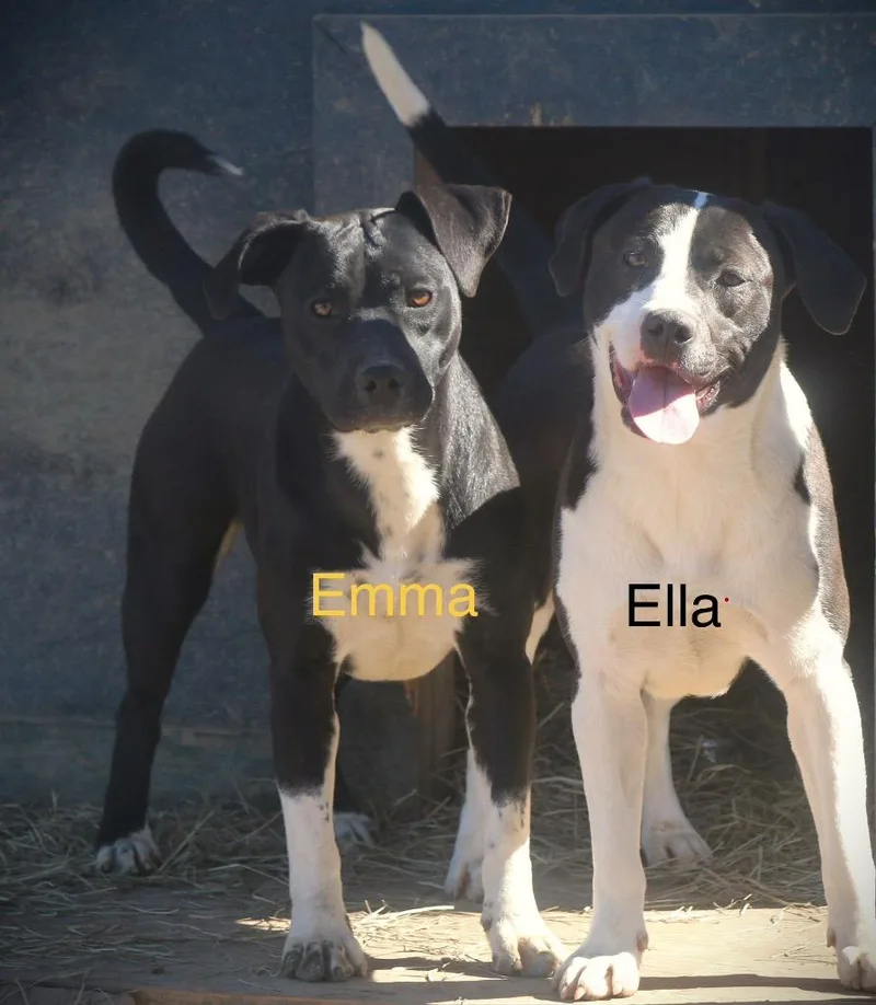 Emma thumbnail 2