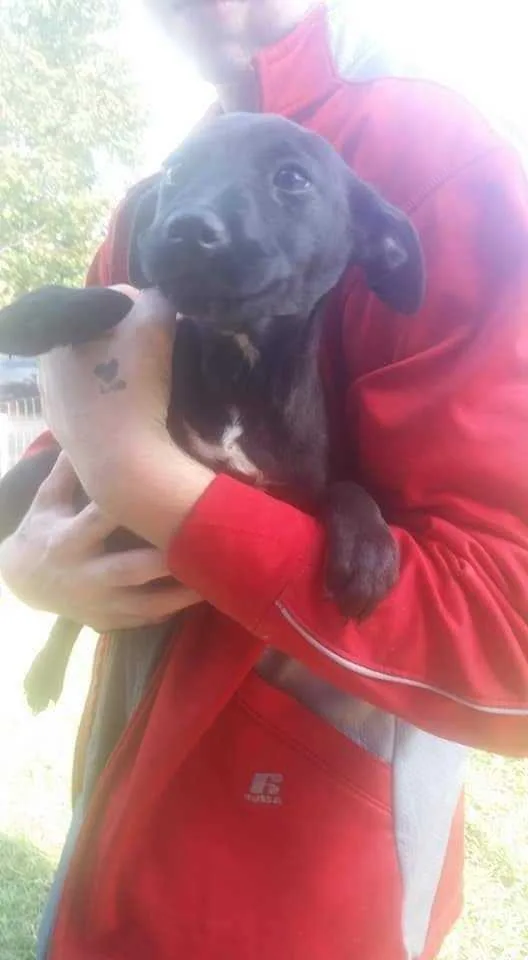 Facts Of Life : thumbnail 2