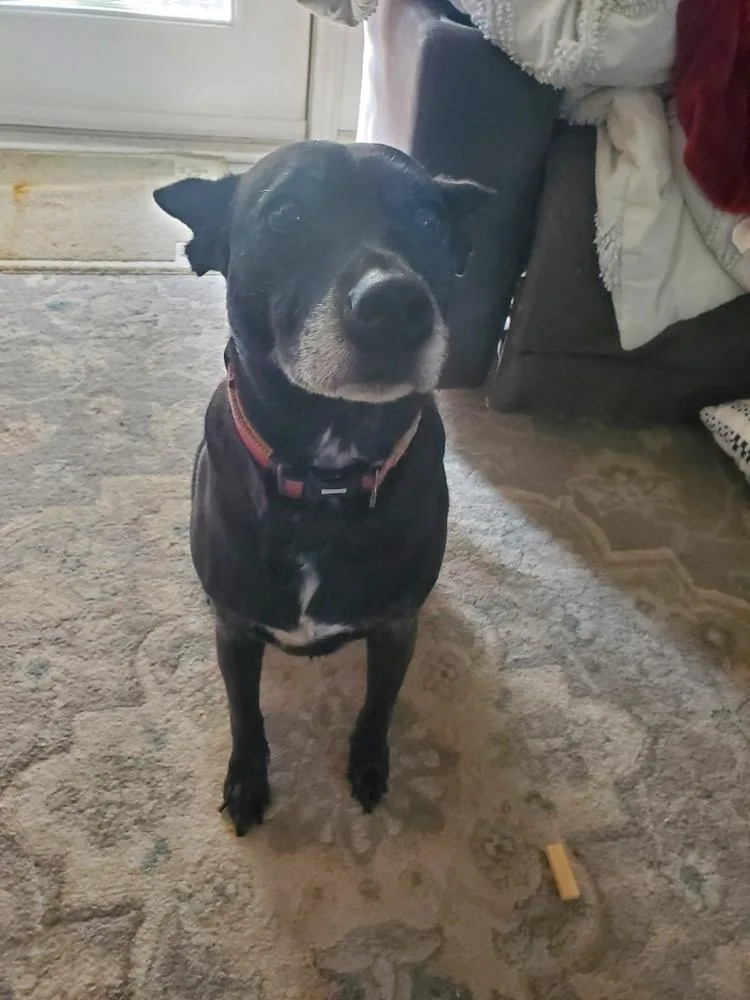 Facts Of Life : thumbnail 3