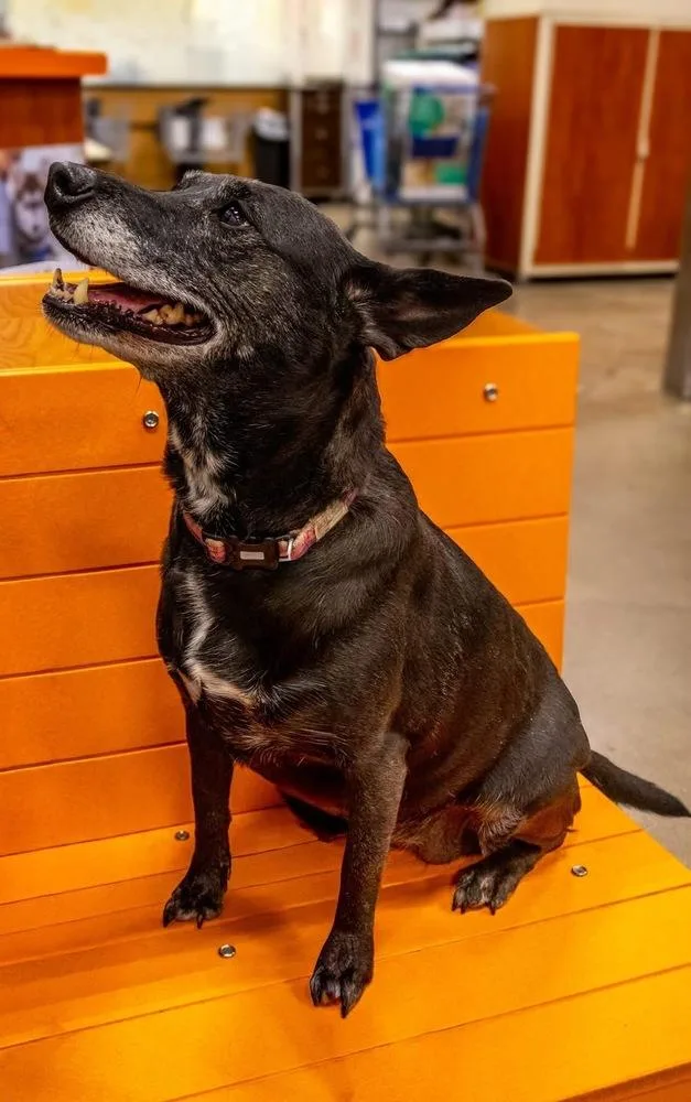 Facts Of Life : thumbnail 4