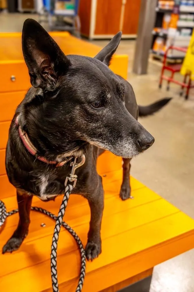 Facts Of Life : thumbnail 5