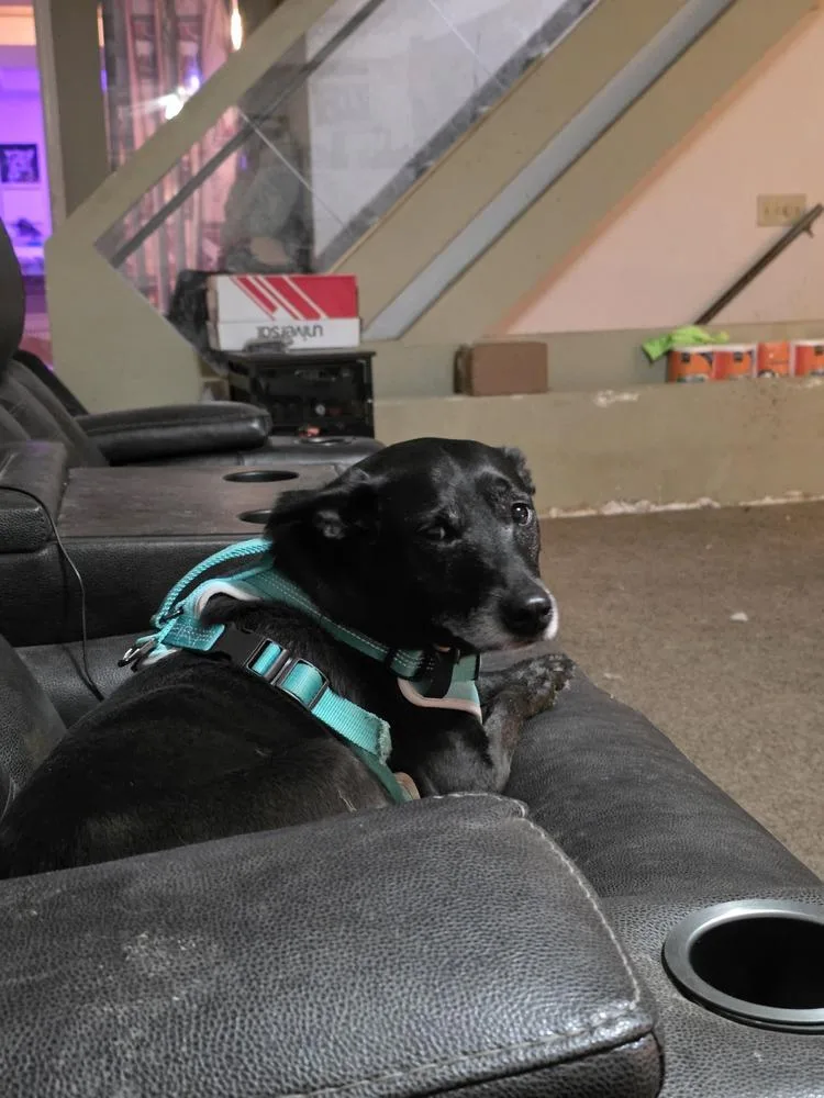 Facts Of Life : thumbnail 6