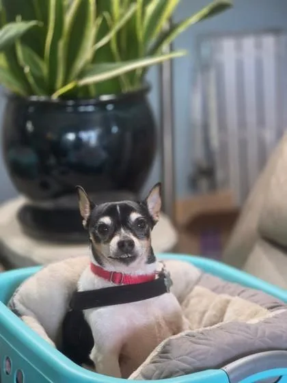 Ben