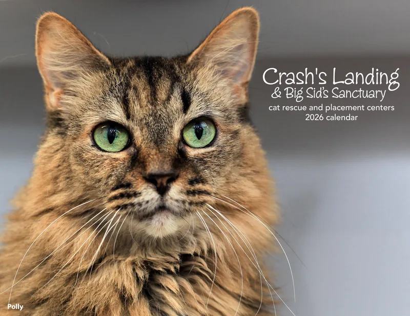 Polly  Purrmanent Resident