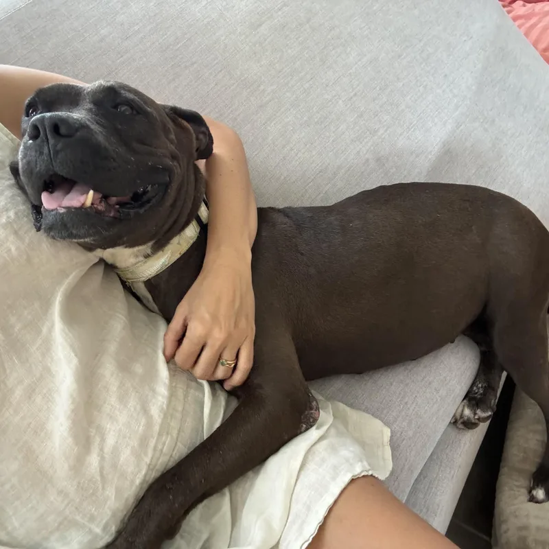 Whoopi  The Cuddlebug thumbnail 4