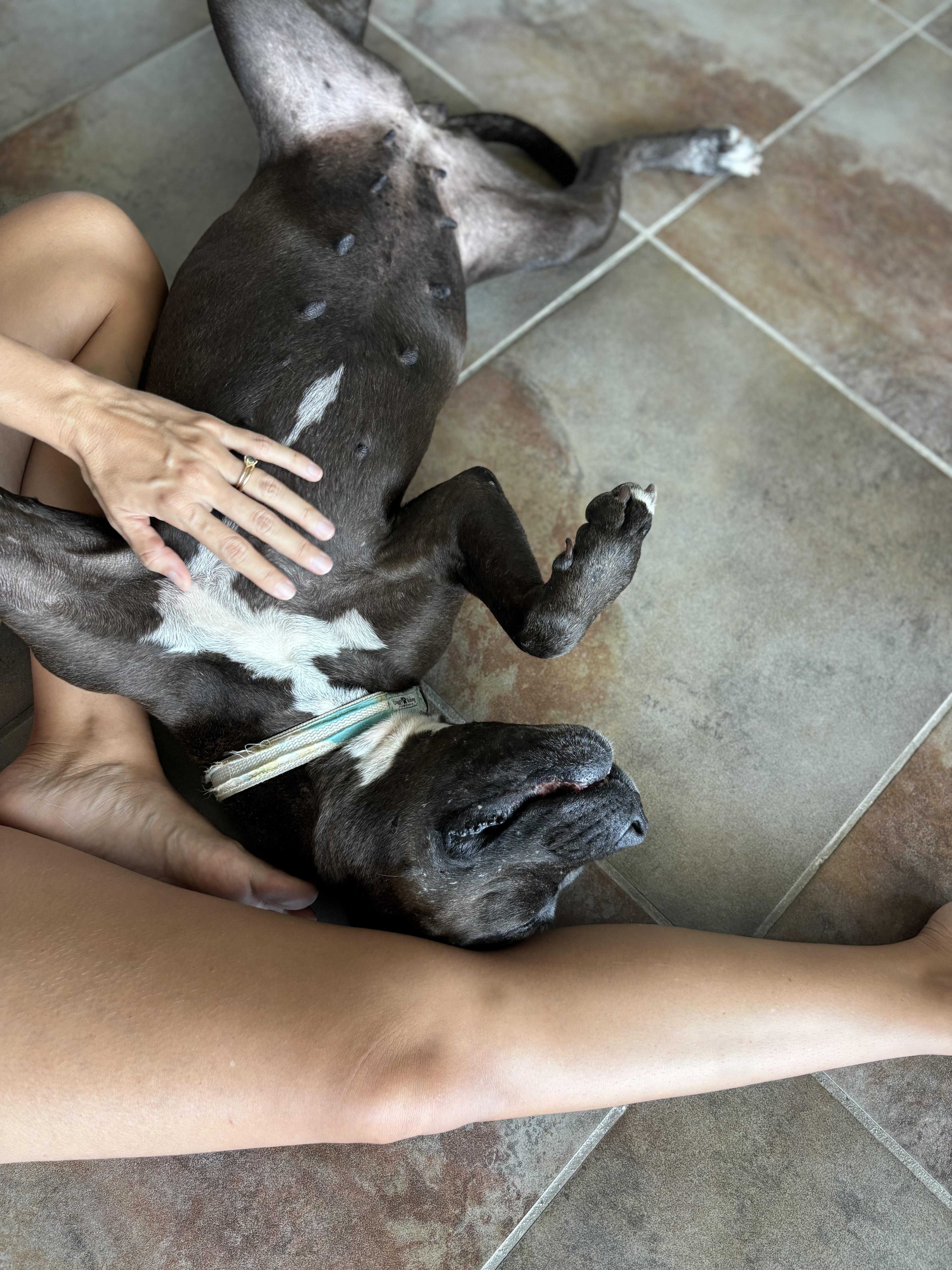 Whoopi  The Cuddlebug thumbnail 5