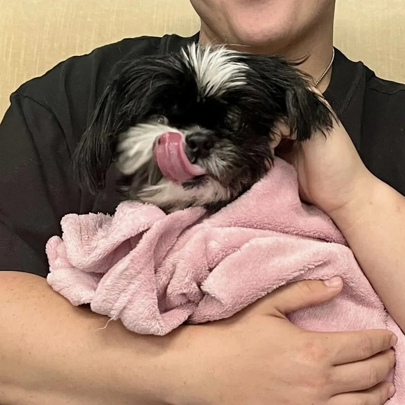 Gigi thumbnail 2