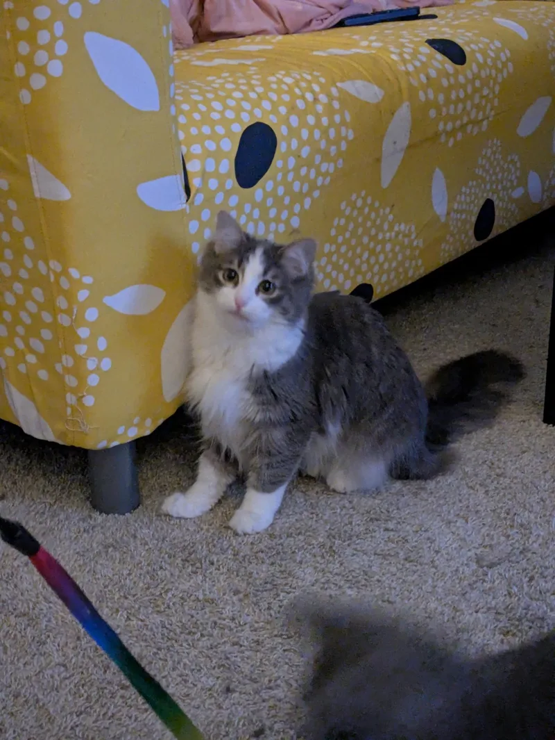 Skarloey thumbnail 2