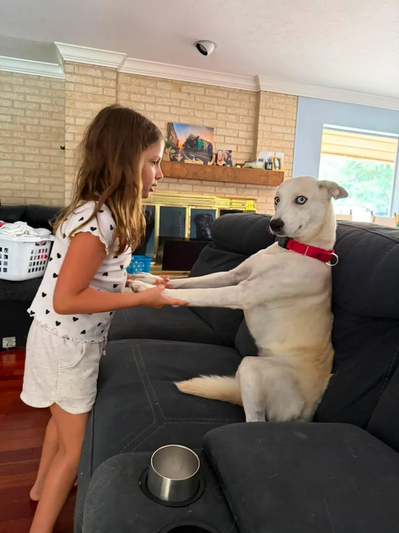 Ellie  The tenderhearted thumbnail 4
