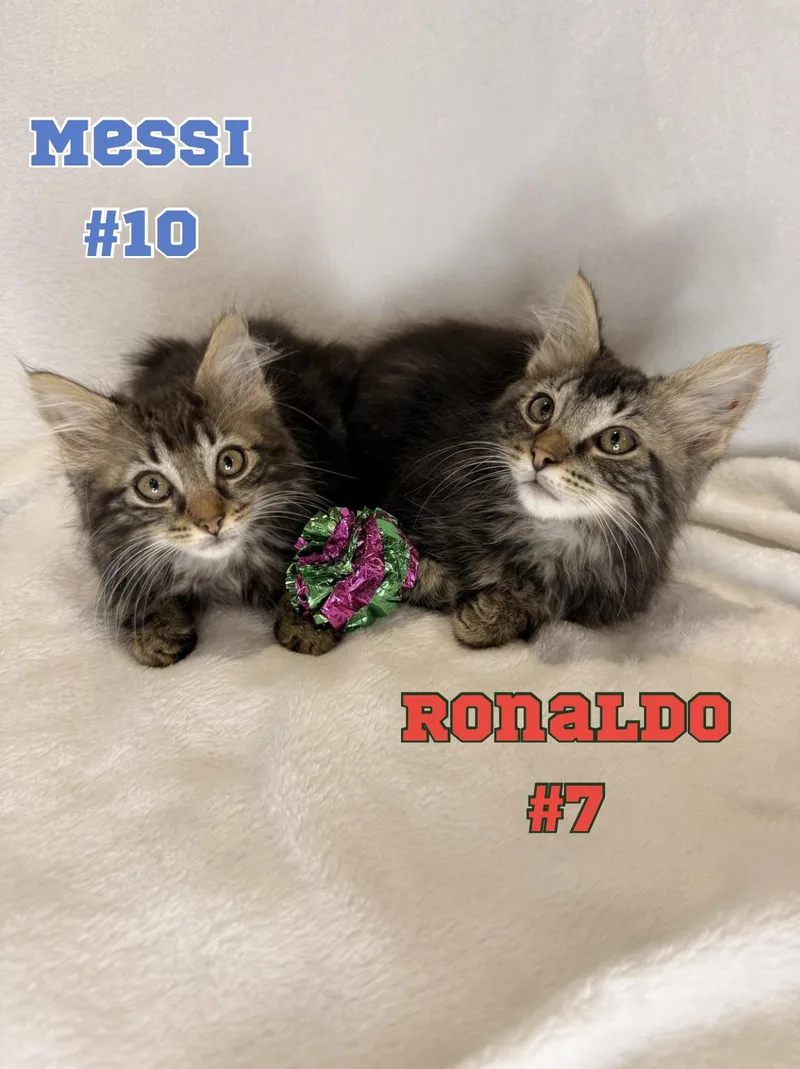 Messi and Ronaldo thumbnail 4