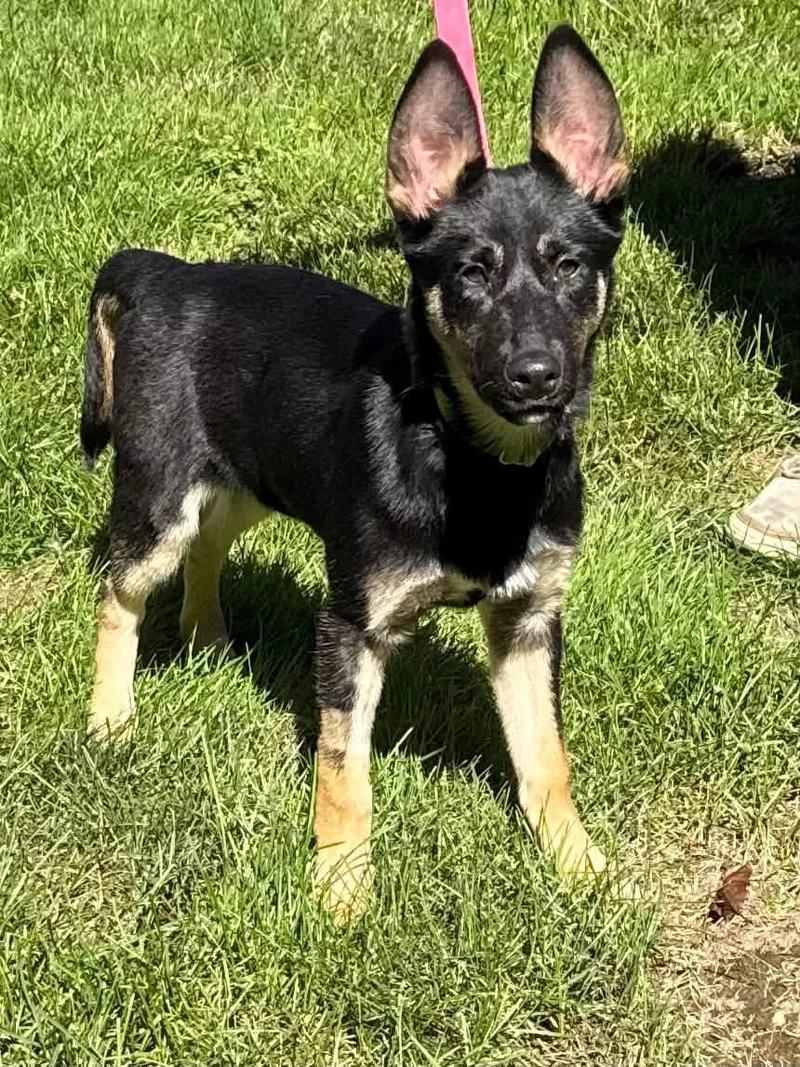 Azzy thumbnail 6