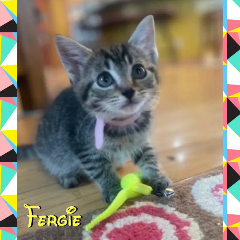 Fergie thumbnail 2