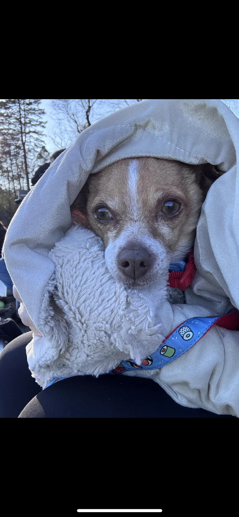 Lulu Aka Lucy thumbnail 6