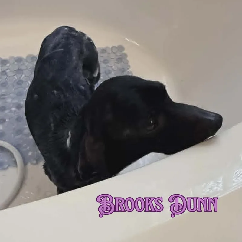 Brooks Dunn thumbnail 2