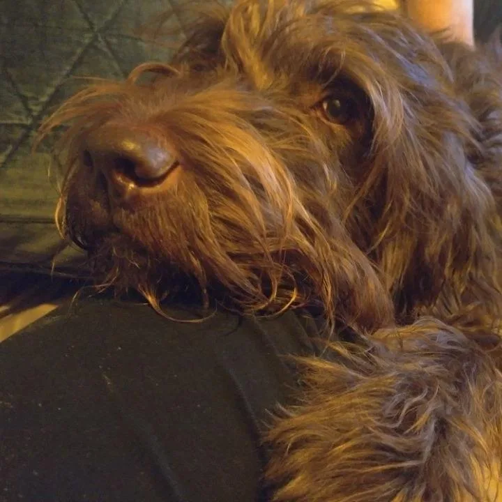 Buffy thumbnail 5
