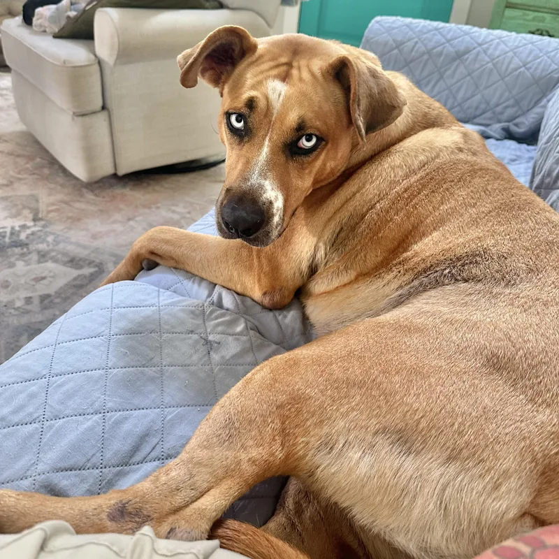 Miss Elsa thumbnail 3