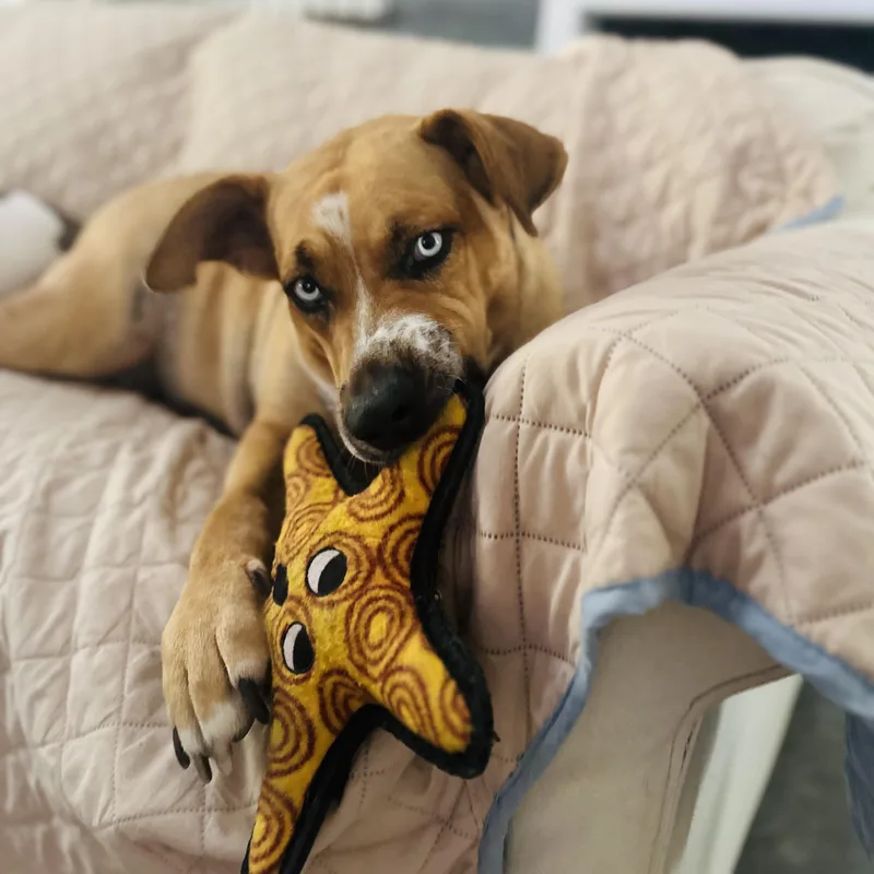 Miss Elsa thumbnail 5