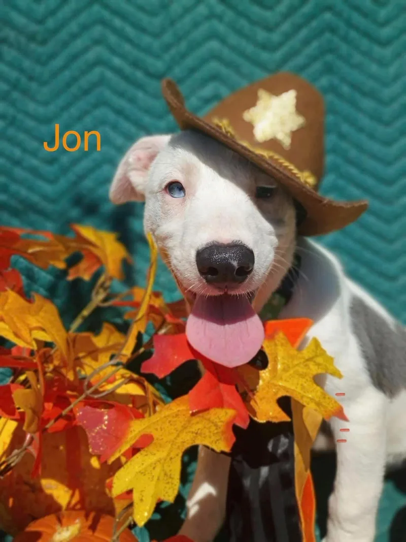 Jon thumbnail 3