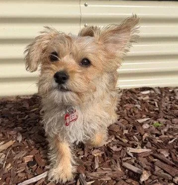 Sunshine thumbnail 2