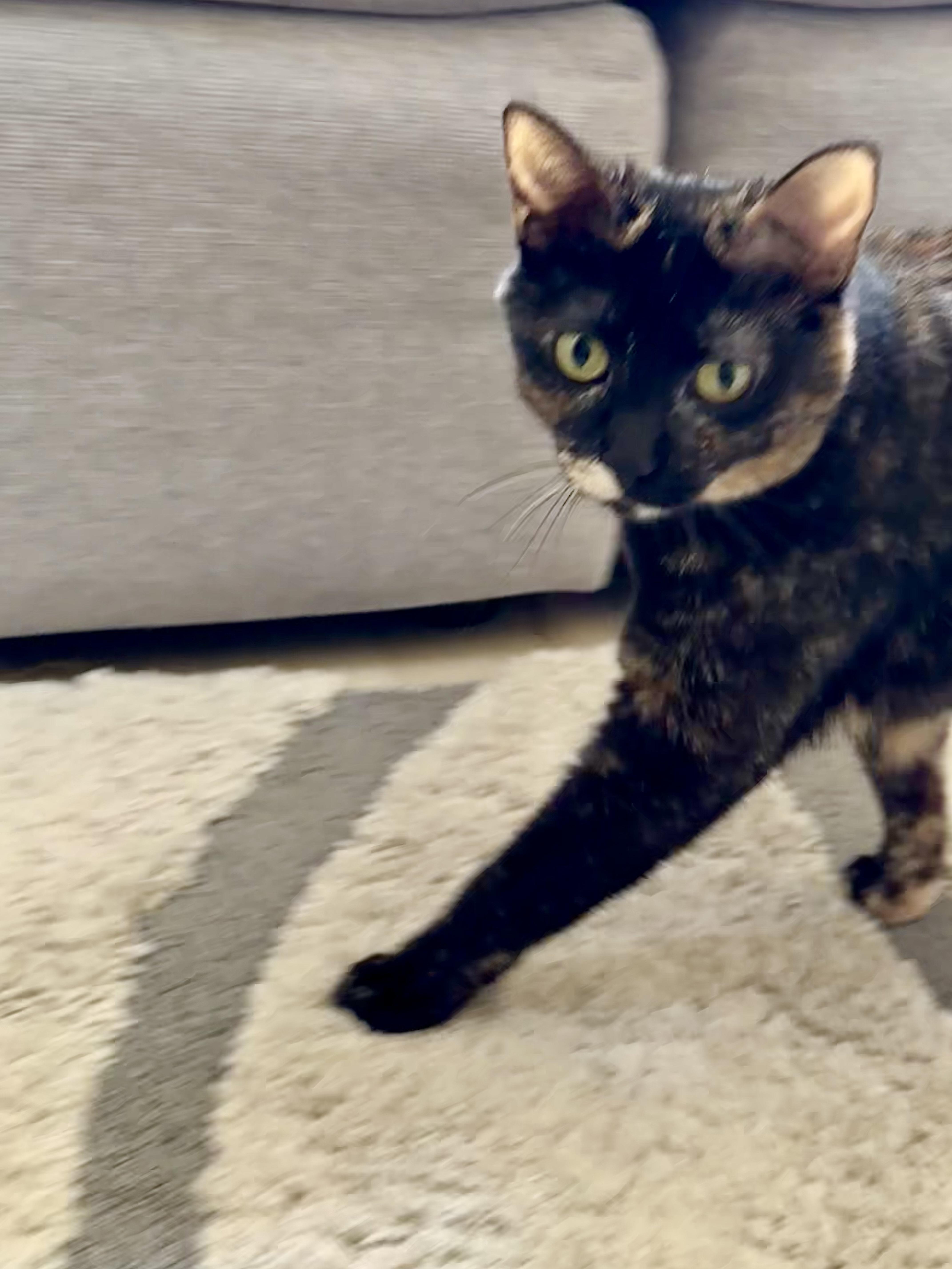 Hermione thumbnail 2