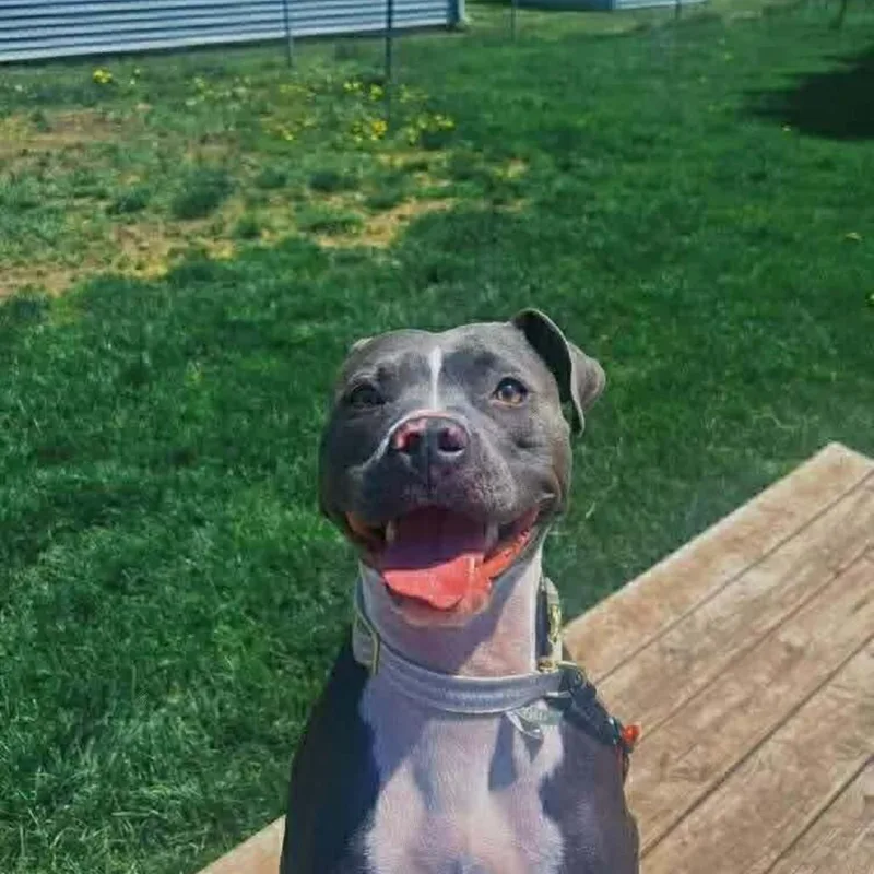 Kuma  Home To thumbnail 2