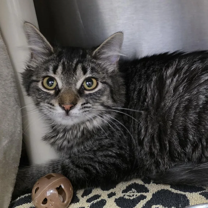 Baby Spice thumbnail 5