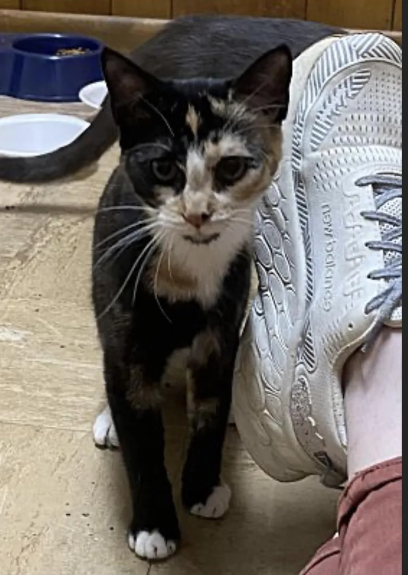 Emmaline thumbnail 2