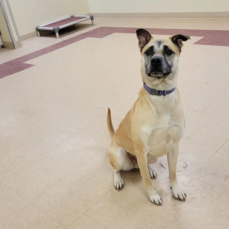 Rita Moreno thumbnail 2