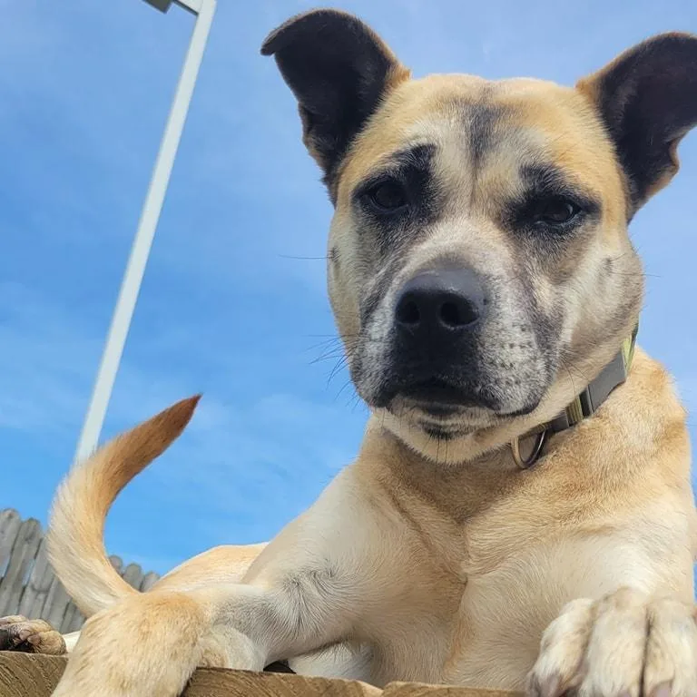 Rita Moreno thumbnail 3