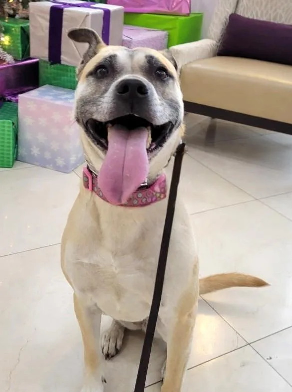 Rita Moreno thumbnail 4