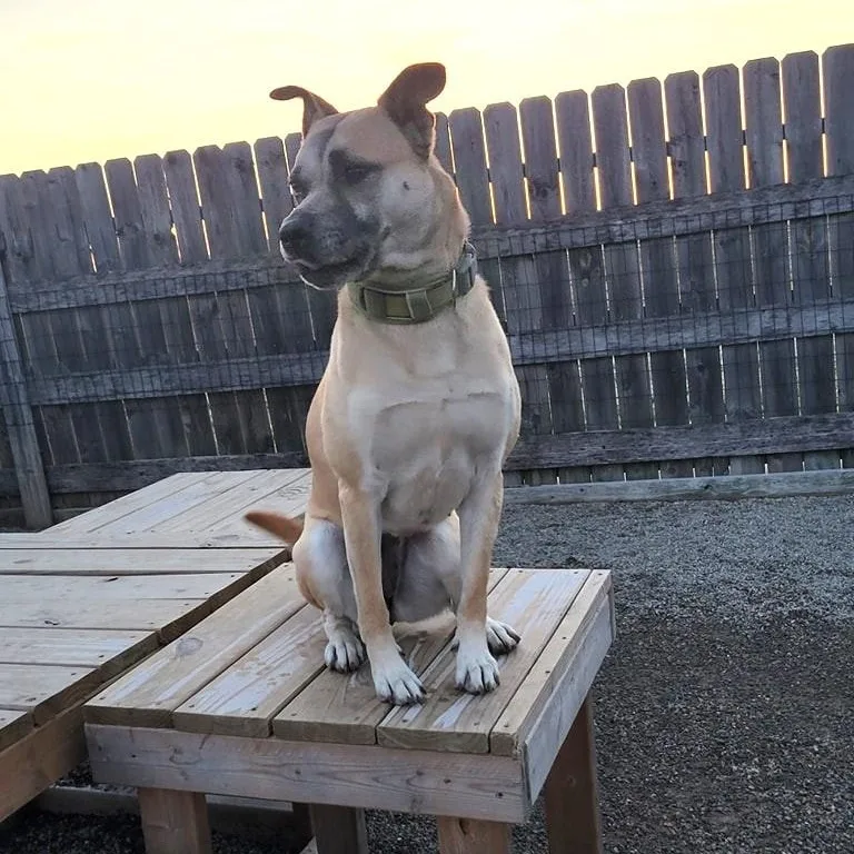 Rita Moreno thumbnail 5