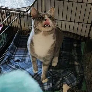 Davy Jones thumbnail 2