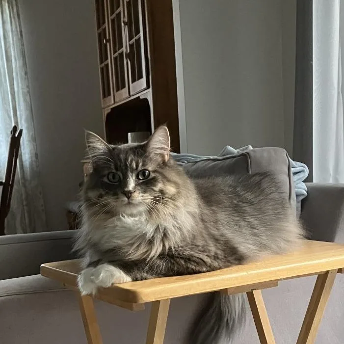 Thunder  Home To thumbnail 2