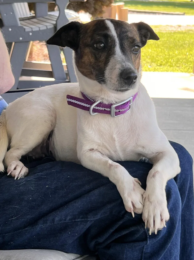 Sadie Mae