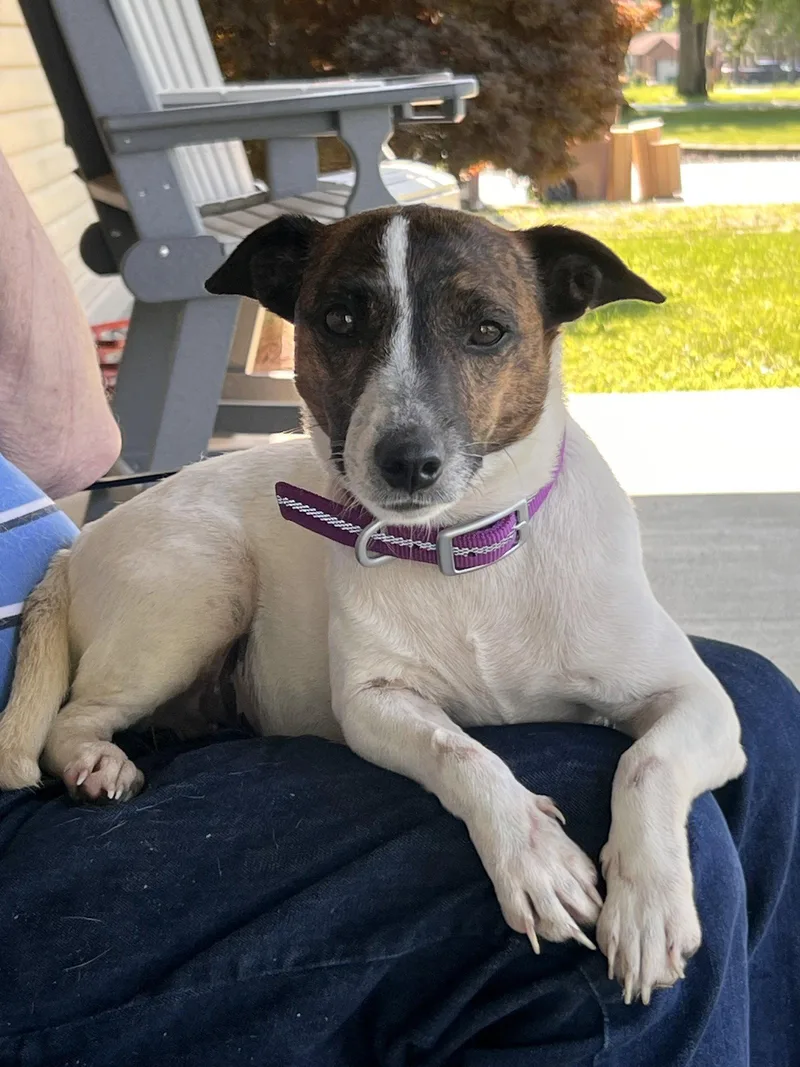 Sadie Mae thumbnail 3