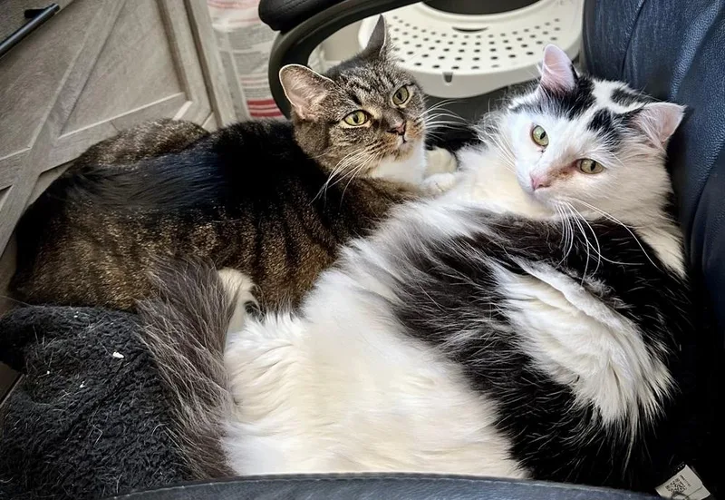 China  Kb thumbnail 2