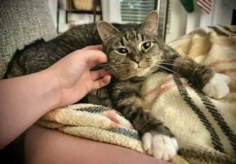 China  Kb thumbnail 3