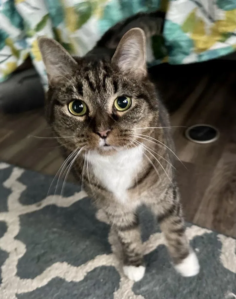 China  Kb thumbnail 4